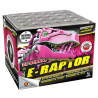 E-RAPTOR